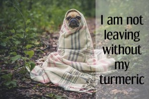 turmeric-benefits-for-dog-arthritis